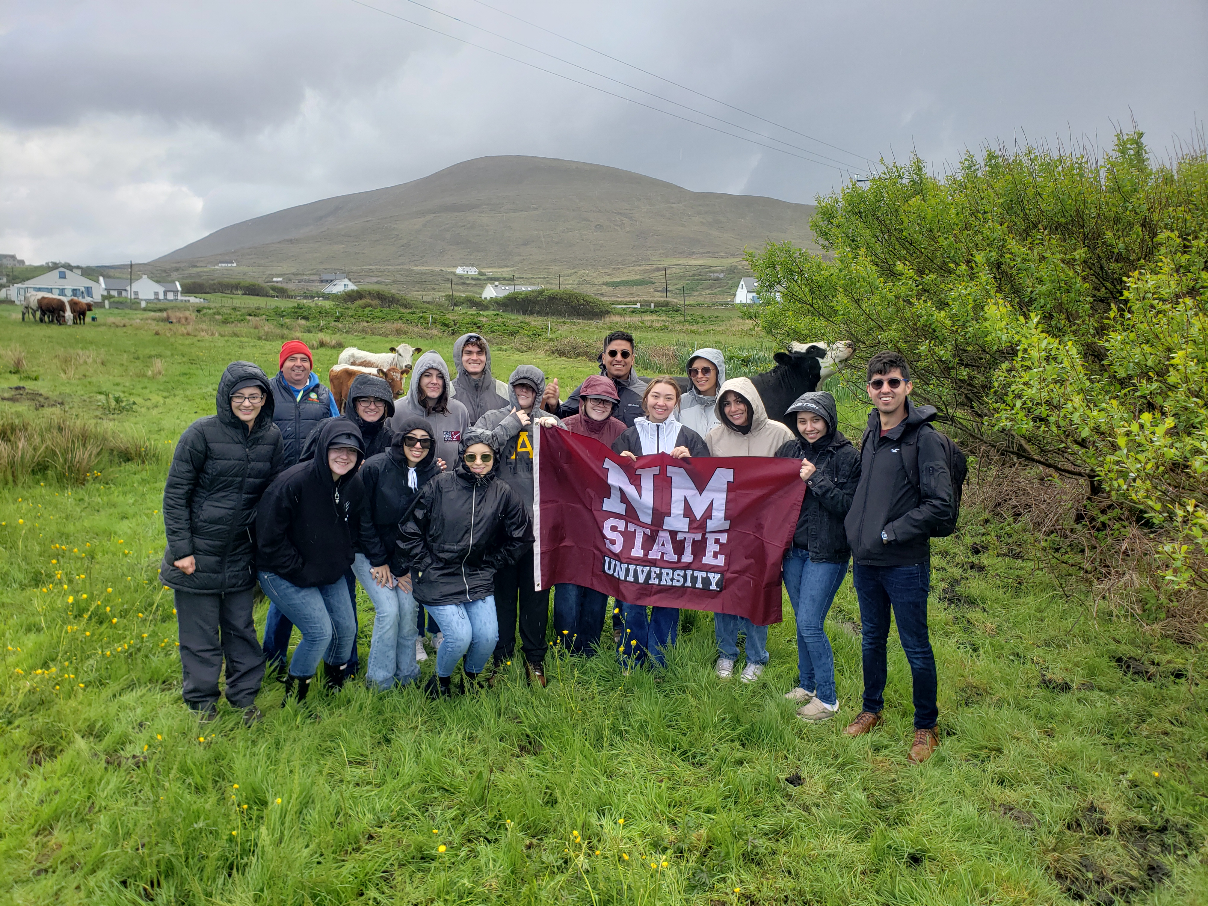 Students with the Summer 2022 Animals of the World FLIP pose with the NMSU flag in a field full of cows